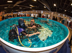 Copenhagen Diveshow 2013