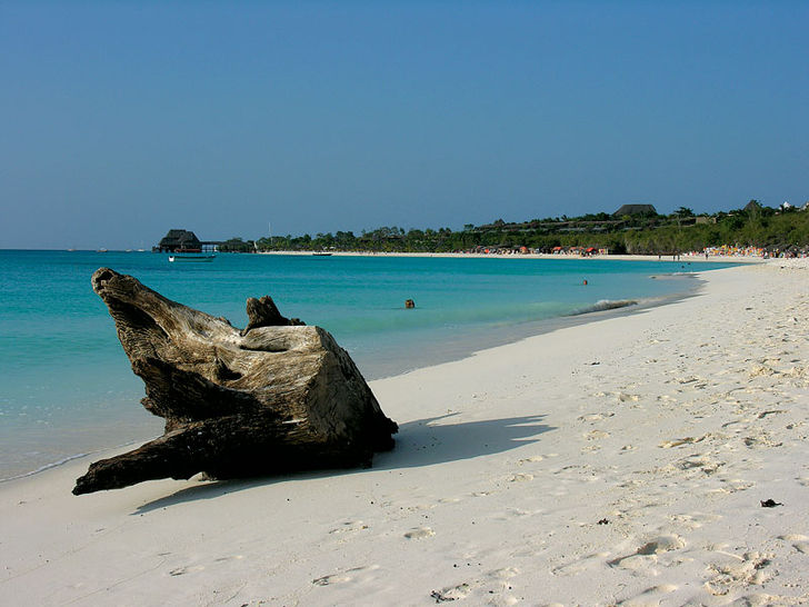 Lugna Kendwa Beach erbjuder bra revdykning och exotiska omgivningar. Zanzibar – full fart under ytan