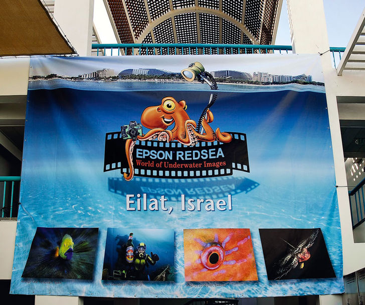 Eilat Shoot-Out 2009 – rapport från vinnarna i DYK
