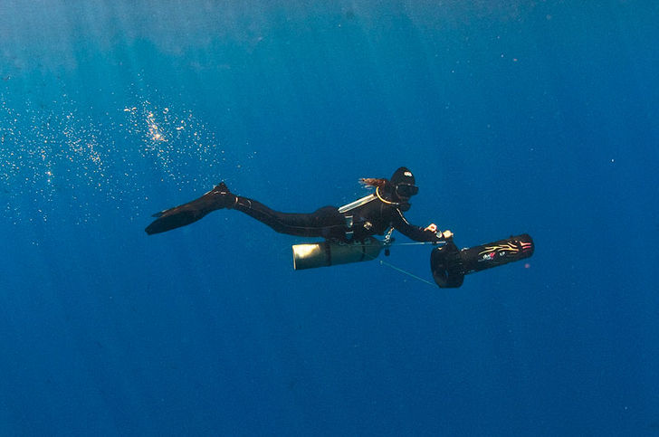 Monkey Diving – join the revolution