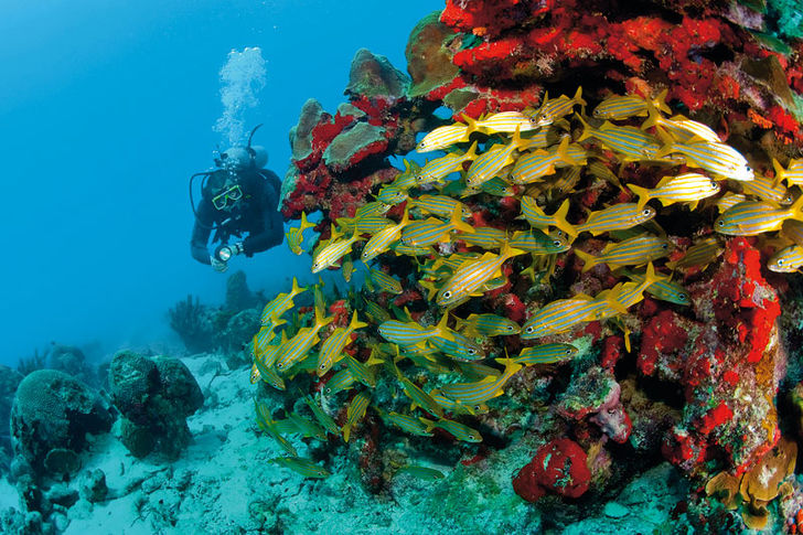 ABC-öarna – Aruba, Bonaire och Curaçao