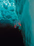 Jonas Thormar – biolog med fotointresse Jonas Thormar – biolog med fotointresse