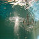 The underwater stage – Här blir stunts till filmverklighet