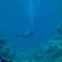 Dahab à la tech – att resa med rebreather