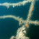 De åländska vraken stoltserar med vackra detaljer som på andra dykplatser för länge sedan skulle ha bärgats för att ingå i mer eller mindre officiella samlingar.
Åland – dit segelskutorna åkte för att dö