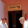 CDWS – Egypten rensar upp bland dykcentren CDWS – Egypten rensar upp bland dykcentren