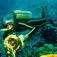 Förutom aqualungan, utvecklade JYC även mängder med foto- och filmutrustning för undervattensbruk. Jacques-Yves Cousteau - 100 år