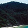 Similanöarna – thailändska västkustens snyggaste dyk Similanöarna – thailändska västkustens snyggaste dyk