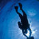 Monkey Diving – join the revolution