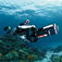 Monkey Diving – join the revolution