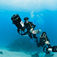 Monkey Diving – join the revolution