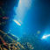 I motsats till många andra historiska vrak har har Truks vrak inte blivit plundrade. Det mesta är fortfarande intakt även om rosten satt sina spår. Truk – Tidsresa till Truk Lagoon