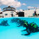 Med dykcentret (den runda byggnaden) precis sidan om poolen är det enkelt och bekvämt för kursdeltagarna att hoppa i plurret. Lanzarote – Dykning, motion och familjesemester