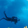 ABC-öarna – Aruba, Bonaire och Curaçao