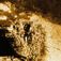 Side scan sonar-bilderna visar en komplex vrakplats. Den vänstra bilden var det första indikationen på att det vilade något mycket intressant på havsbotten. Fyndet av Mars – äntligen hittad efter 447 år på havets botten
