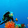Sharm el Sheikh