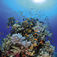 Marsa Alam
