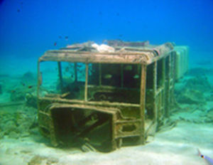 Dive-In Cyprus