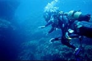 blue island divers
