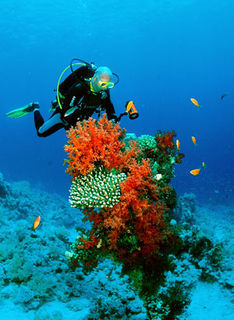 Sharm el Sheikh