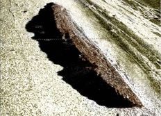 Vrakfynd från vikingatiden?