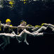 The underwater stage – Här blir stunts till filmverklighet The underwater stage – Här blir stunts till filmverklighet
