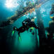 Jolly good diving! – Fem engelska smakprov...