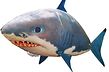 Air Swimmer haj