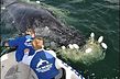 Australien testar valvarnare