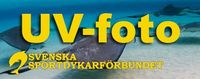 UV-fotokommittén, Svenska Sportdykarförbundet UV-fotokommittén, Svenska Sportdykarförbundet