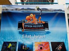 Eilat Shoot-Out 2009 – rapport från vinnarna i DYK