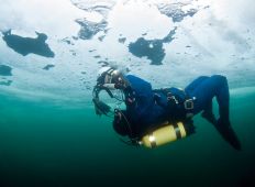 Isdyk i havet - En arktisk oplevelse