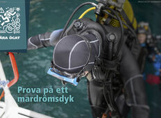 Nära ögat