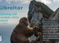 Gibraltar – Dykning vid Europas sista koloni