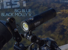 Test – Big blue Black Molly V