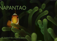 Napantao – På eventyr i Filippinerne