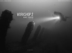 Workshop 2 – Vraket Prosper