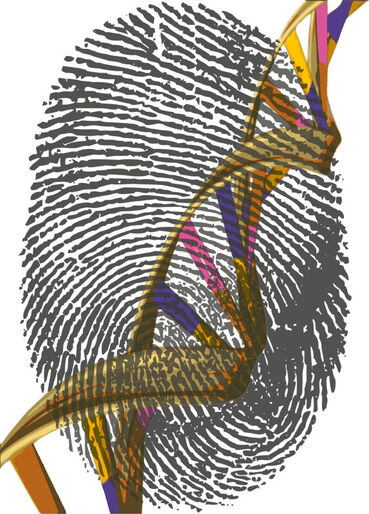 Djurens CSI – det genetiska fingeravtrycket