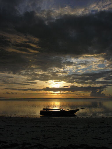 Zanzibar – full fart under ytan