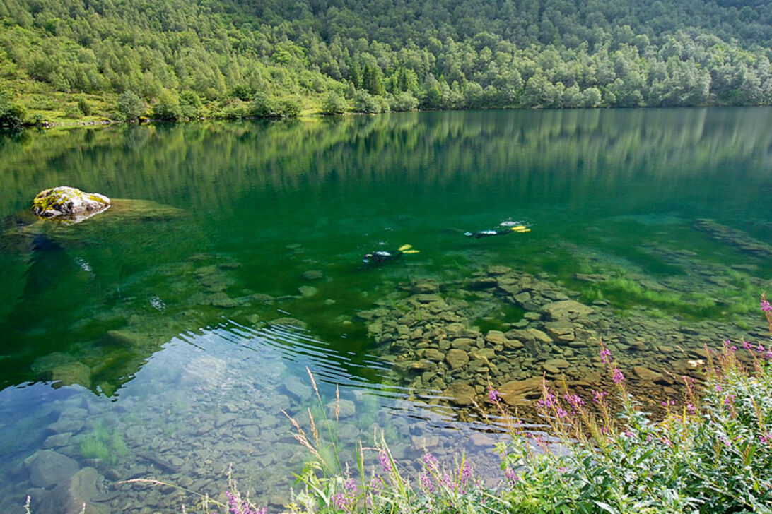 Lyngstøylsvatnet – dykning i den norska trollskogen