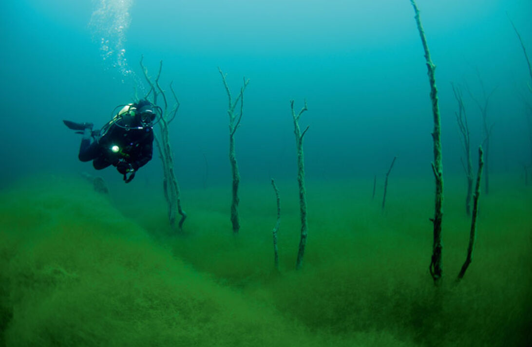 Lyngstøylsvatnet – dykning i den norska trollskogen