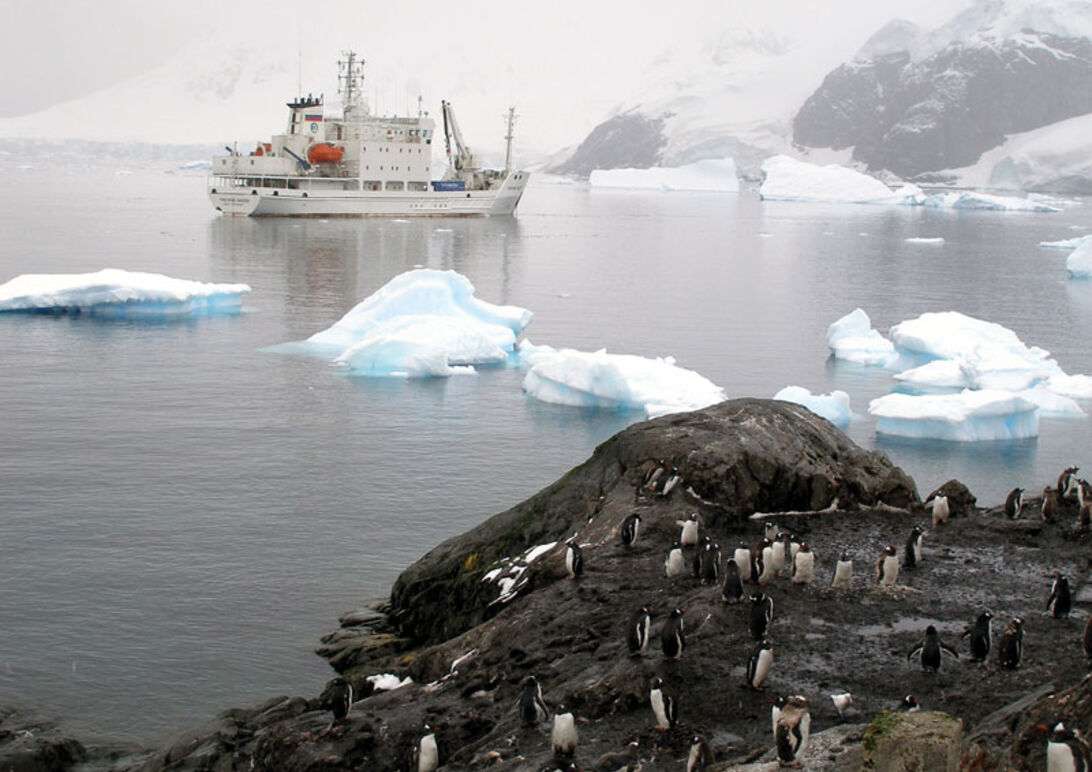 Den Vita Kontinenten – Möt Antarktis makalösa värld ...