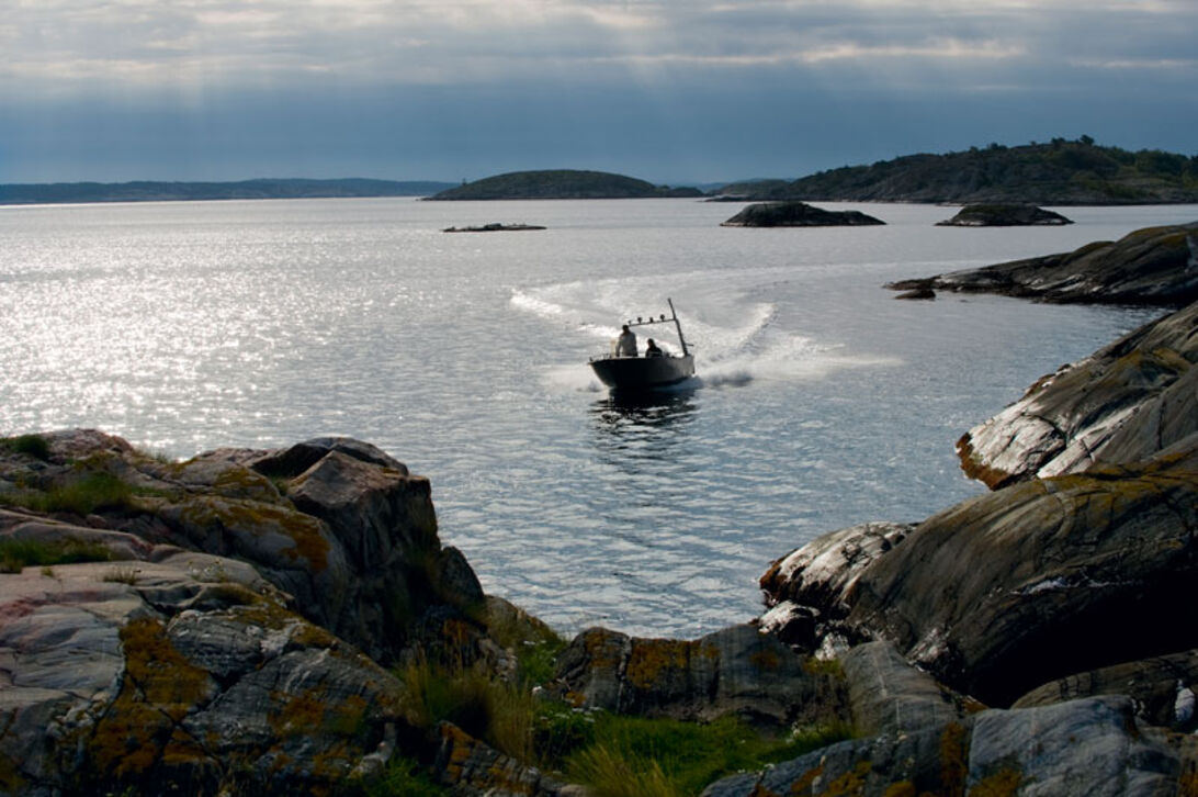 Kosterhavet  – Sveriges första marina nationalpark