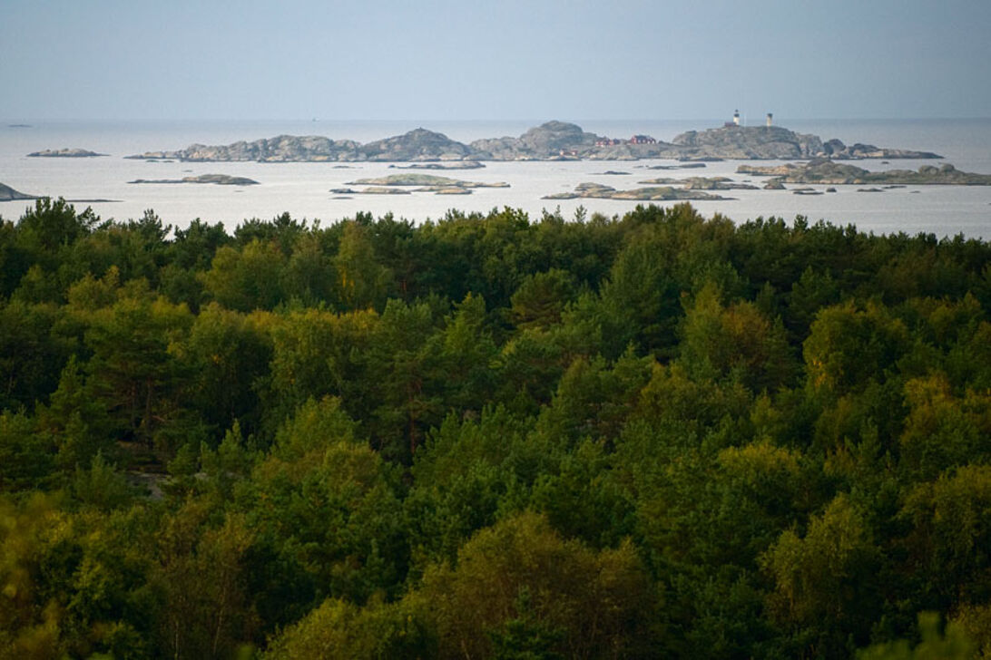 Kosterhavet  – Sveriges första marina nationalpark