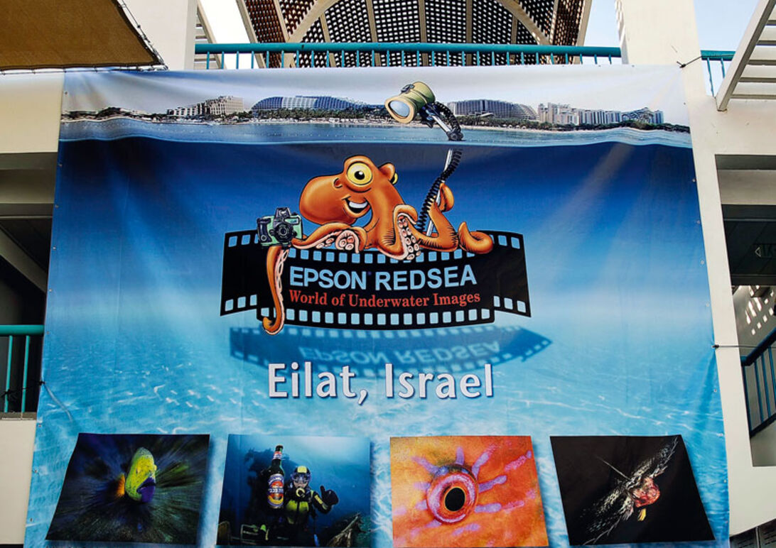 Eilat Shoot-Out 2009 – rapport från vinnarna i DYK