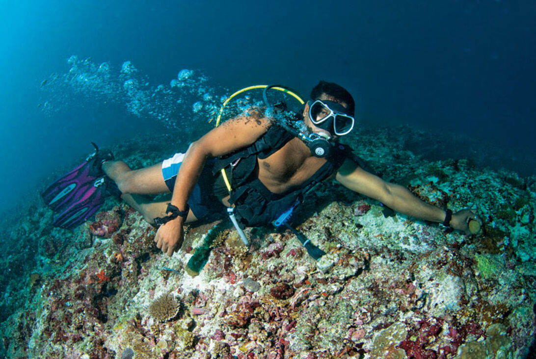 Dykning i gräddfil – maximal lyx på Maldiverna