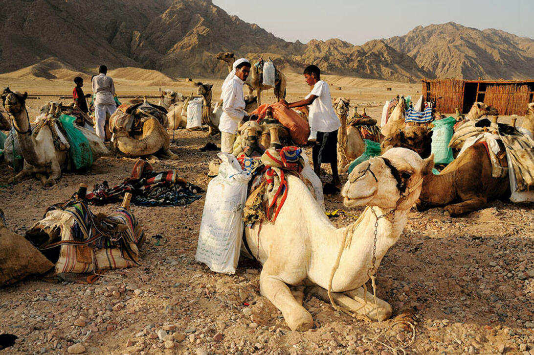 Dahab – Ökensafari hos beduiner 