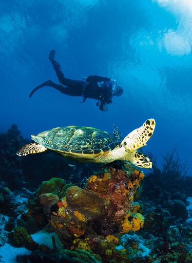 ABC-öarna – Aruba, Bonaire och Curaçao