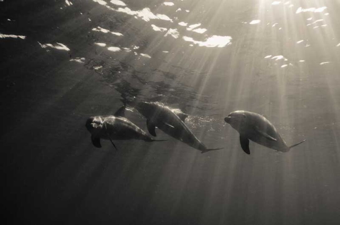 Första fotoförsöken under vattnet – mycket att tänka på