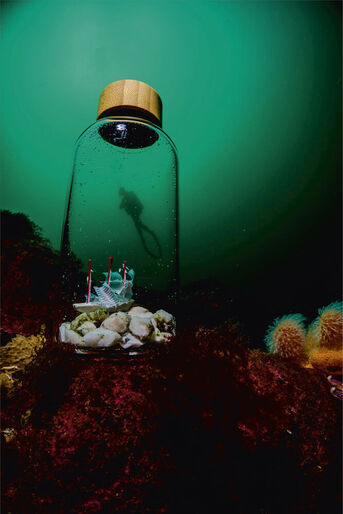 Bild med dykare Brons